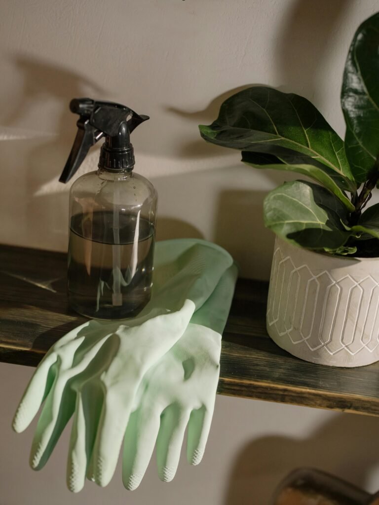 Cleaning Services